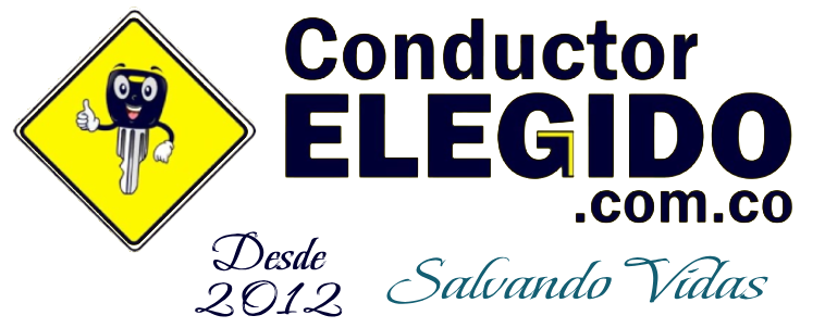 Conductor Elegido – Servicio Profesional Desde El 2012